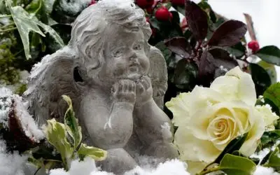 Day Twelve – Angel Barachiel